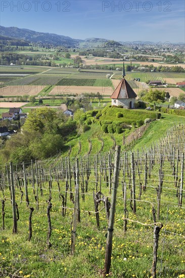 Olberg Chapel near Ehrenstetten