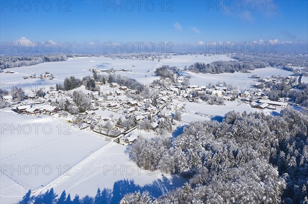 Winter landscape