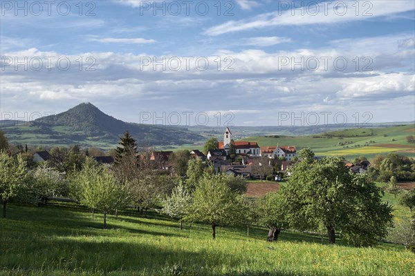 Orchard meadow with village Weiterdingen in Hegau
