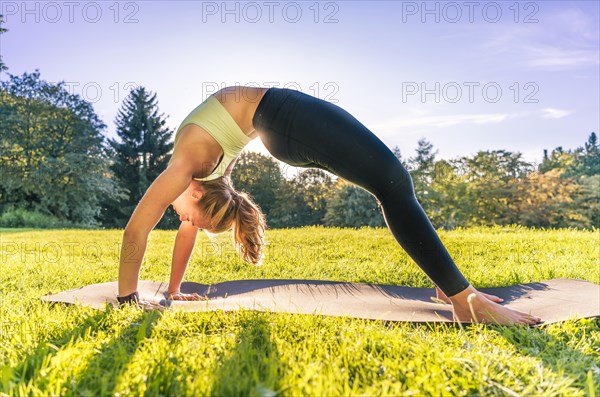 Bridge exercise