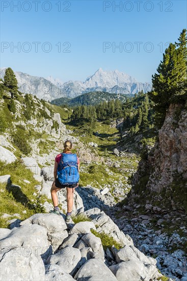 Hiker mit Rucksack looks into the distance