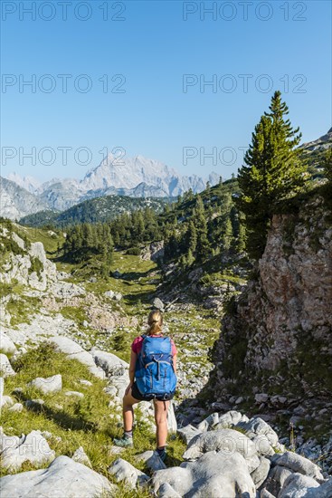 Hiker mit Rucksack looks into the distance