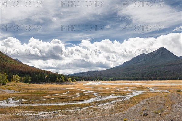 Stream meanders through a grassy landscape