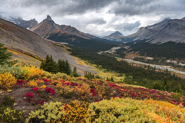 View to Mount Athabasca and Hilda Peak in autumn