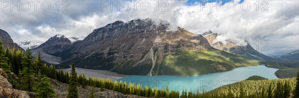 Glacier valley and glacier with turquoise glacial lake surrounded by forest