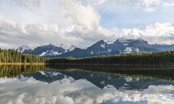 Herbert Lake