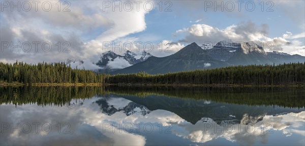 Herbert Lake