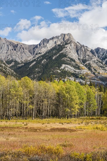 Fall Mountain Landscape