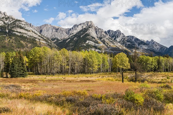 Fall Mountain Landscape