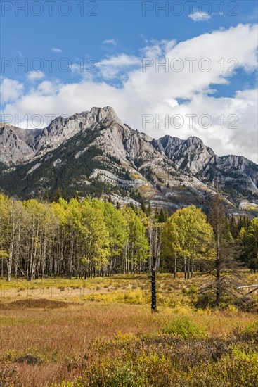 Fall Mountain Landscape