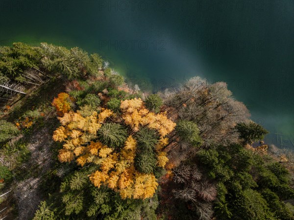 Drone shot