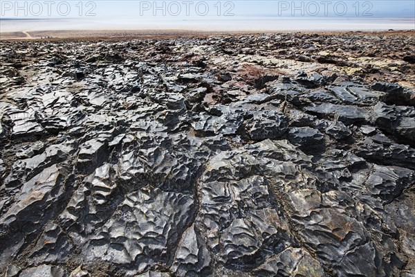 Petrified salt crust