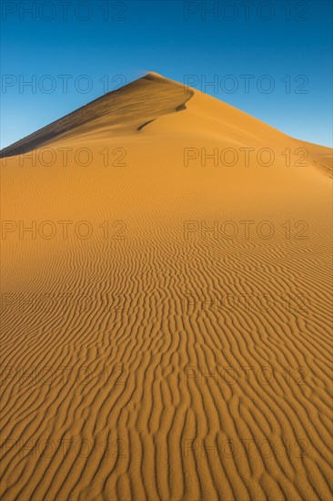 Giant sanddune Dune 45