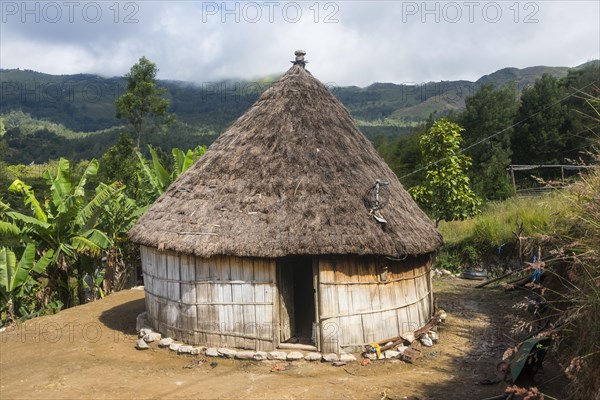 Traditional reed hut with banana plants around in the mountains of Maubisse
