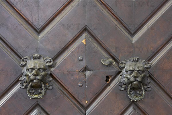 Lion heads as door knockers