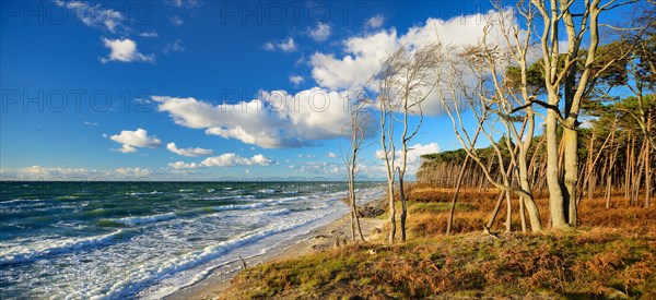 Stormy weather at the west beach in autumn