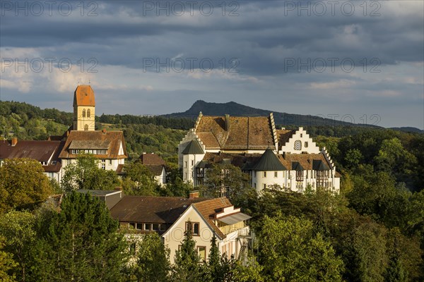 Blumenfeld Castle