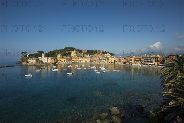 Townscape with harbour in Baia del Silenzio
