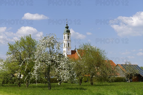 Pilgrimage church Steinhausen