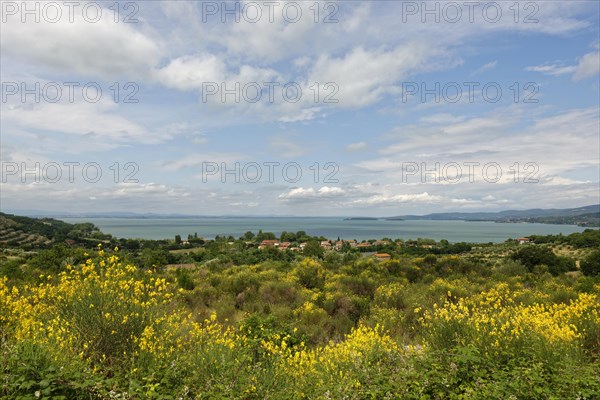 Lake Trasimeno