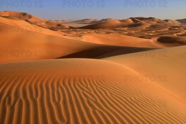 Sanddunes in the Rub al Khali desert