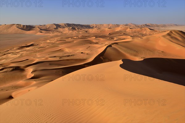 Sanddunes in the Rub al Khali desert
