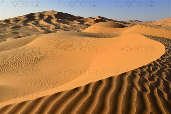 Sanddunes in the Rub al Khali desert