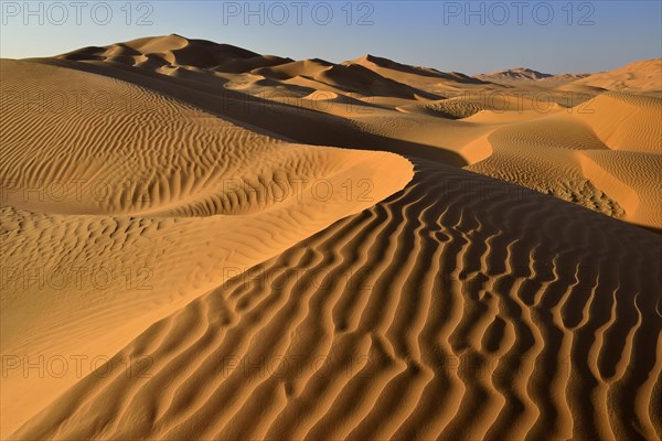 Sanddunes in the Rub al Khali desert