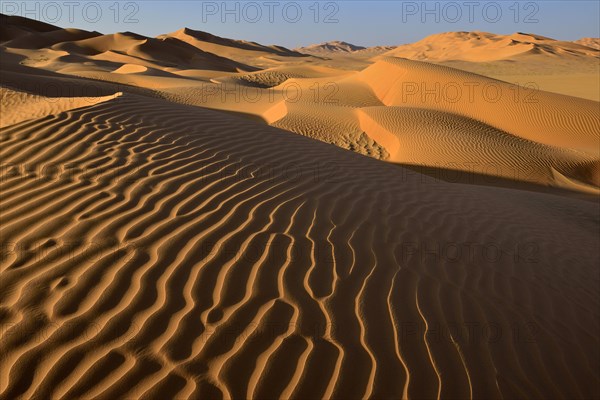 Sanddunes in the Rub al Khali desert