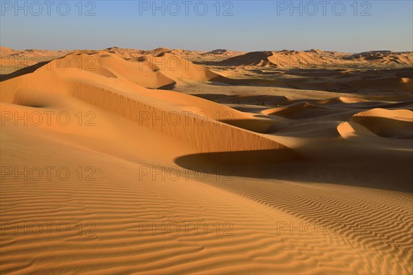 Sanddunes in the Rub al Khali desert