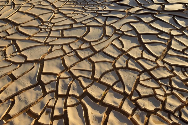 Broken surface of a dry claypan