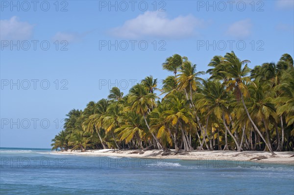 Palm Beach