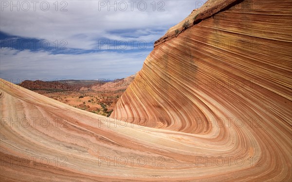 The Wave