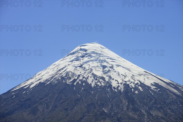 Summit