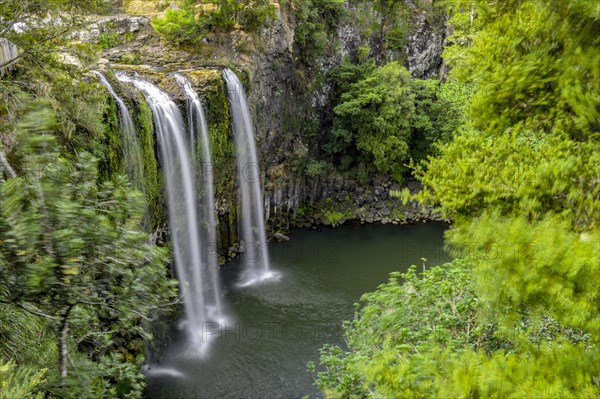 Waterfall Whangarei Falls