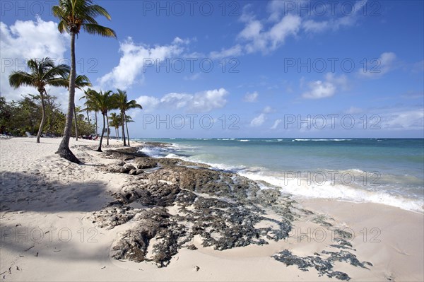 Cristal blue sea and palm trees on the beach Playa Guardalavaca