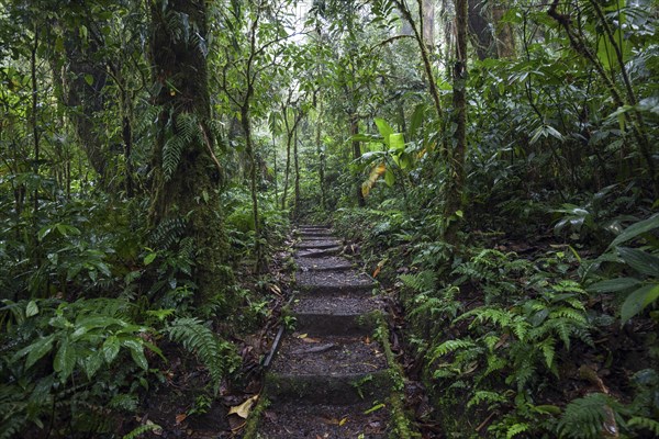 Encantado Trail