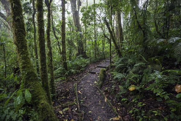 Encantado Trail