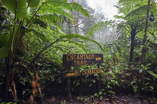 Encantado Trail
