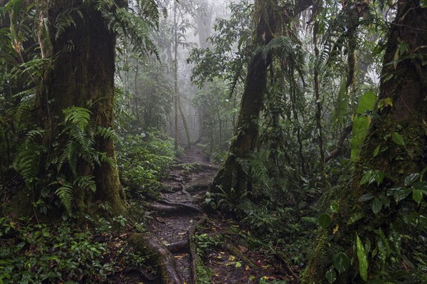 Encantado Trail