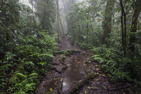 Encantado Trail