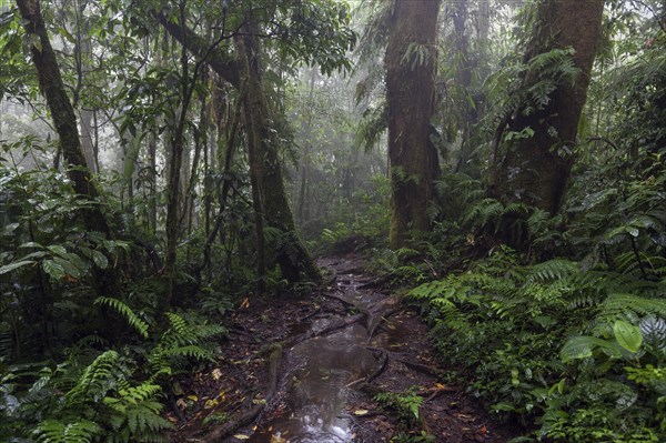 Encantado Trail
