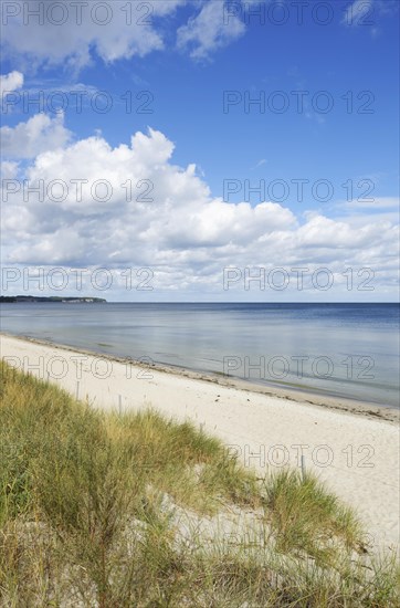 Beach and Baltic Sea near Lobbe