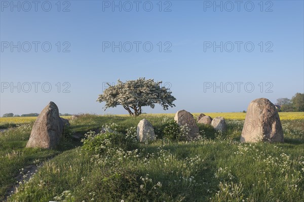 Dolmen from Neolithic period