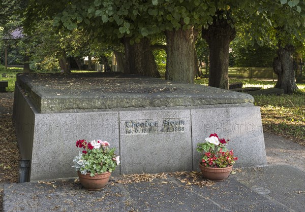 Grave of writer Theodor Storm