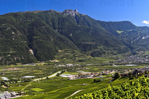 The Pierre Avoi summit rises above the Rhone valley at Saxon