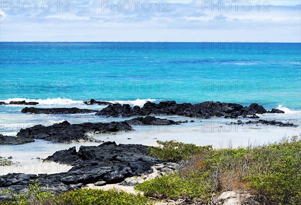 Lava rocks on the coast