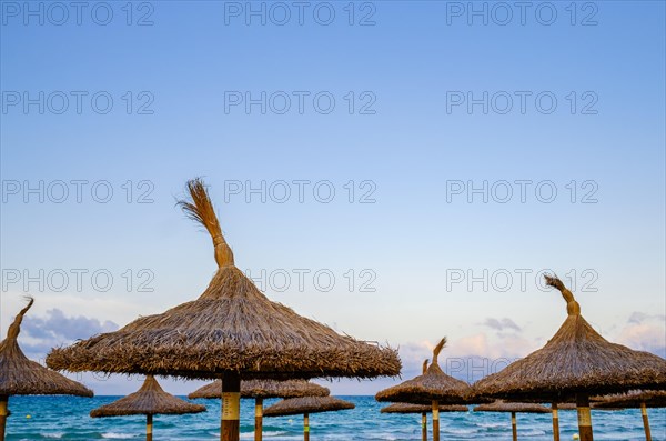 Sunshades by the sea