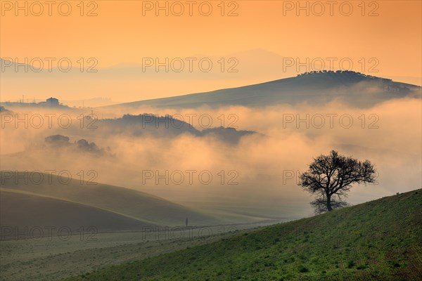 Morning atmosphere in Tuscany