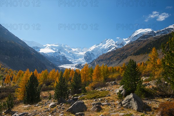 Autumn in the Valley with yellow larches